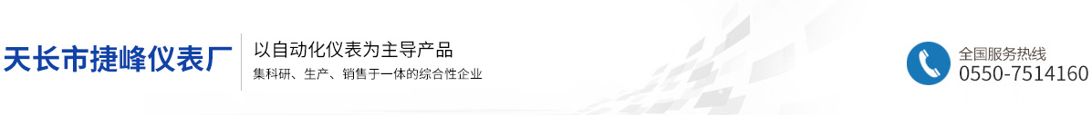 天长市捷峰仪表厂